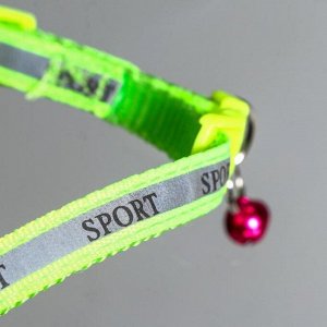 Ошейник "Спорт" со светоотражающей полосой, 31 х 1 см, зелёный