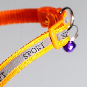 Ошейник "Спорт" со светоотражающей полосой, 31 х 1 см, оранжевый