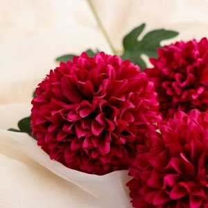 Цветы искусственные "Георгин шаровидный" 7х60 см, тёмно-розовый