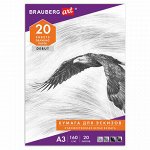 Папка для рисования БОЛЬШОГО ФОРМАТА А3, 20 л., 160 г/м2, BRAUBERG, 297х420 мм, &quot;Орел&quot;, 125228