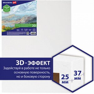 Холст 3D на подрамнике BRAUBERG ART CLASSIC 30х40см, 440г/м, грунт, 100% хлопок мелкое зерно, 191663