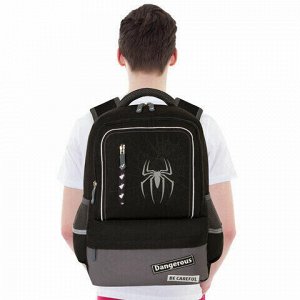Рюкзак BRAUBERG STAR, "Spider", черный, 40х29х13 см, 229978