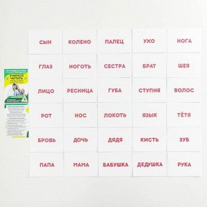 Обучающие карточки по методике Г. Домана «Учимся читать», 1+, МИКС