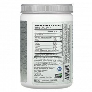 Xtend, The Original, 7 г аминокислот с разветвленной цепью (BCAA), со вкусом манго, 420 г (14,8 унции)