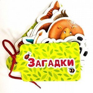 Книга Вырубка на картоне 978-5-378-29595-1 Картинки на шнурочке.Загадки