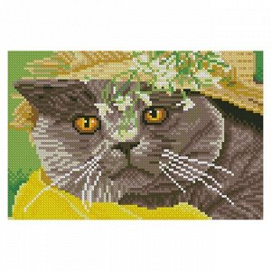 Набор для творчества Алмазная мозаика Британский кот в шляпе с подр. 22*32см AS22068