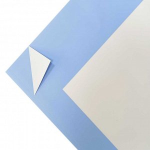 Пленка матовая 2-сторонняя белый/голубой размер 58*58см