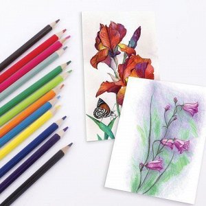 Карандаши цветные 12 цветов BRAUBERG Академия шестигранные