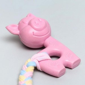 Игрушка жевательная Пижон Premium "Свинка", 10 х 6 х 3,5 см, розовая
