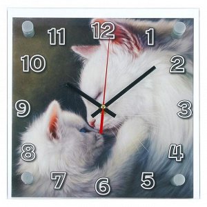 Часы настенные, серия: Животный мир, "Кошки", 25х25 см