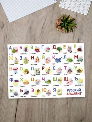 МАГНИТНЫЙ "АЛФАВИТ РУССКИЙ NEW" 30х20 см (2195)