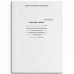 Классный журнал 10-11 классов 5193 офсет. Феникс {Россия}