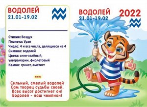 Двойной карманный календарь 2022 "Гороскоп Рисованный Водолей"
