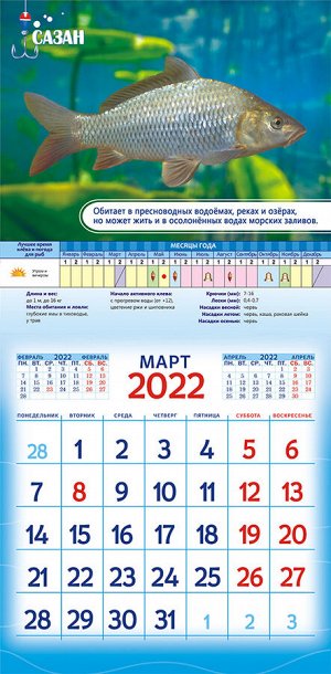 Календарь рыбака на январь месяц 2025 года Белая ворона / СРЕДНИЙ перекидной настенный календарь на скрепке на 2022 год "Ка
