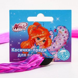 Косички для волос на резинке, фиолетовый, WINX