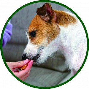 LION Pet Tooth Care - палочки из куриного мяса для чистки зубов