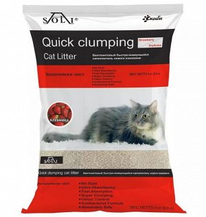 А-Соли Quick clumping Быстрокомкующийся с ароматом Клубники 4кг/5,6л