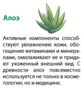 ABSOLUT®️Туалетное мыло NATURE FitoGuard Алоэ 4*75 гр.