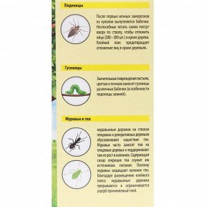 Клейкий пояс для садовых деревьев AEROXON от ползающих насекомых