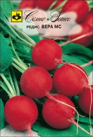 Семко Редис Вера МС