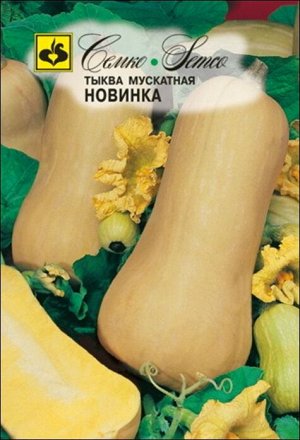 Тыква Новинка