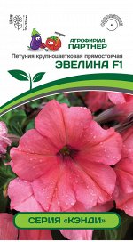 Семена Петуния  &quot;Кэнди&quot; ЭВЕЛИНА F1 /крупноцветковая прямостоячая коралловая ^(5шт в амп)