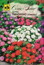 Астра бордюрная Пиноккио (смесь) (ЕВРОЛОГ) хит
