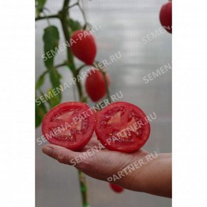 ПАРТНЕР Томат Фукс F1 (2-ной пак.) / Гибриды томата с розовыми плодами