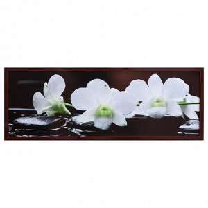 Картина "Орхидея на камнях" 47*127 см