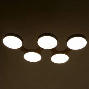 Люстра 625360/5 LED 65Вт 3 режима 3000-6000К светлое дерево 80х47х5 см BayerLux