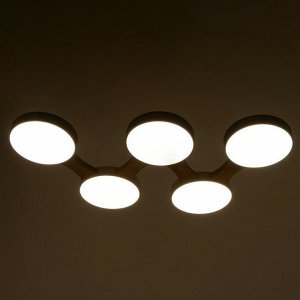 Люстра 625360/5 LED 65Вт 3 режима 3000-6000К светлое дерево 80х47х5 см