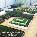 Сибгрядки. Открываем сезон