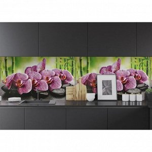 Кухонный фартук "Орхидея ванда", 1000x600x0,5