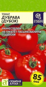Томат Дубок (Дубрава) 0,1гр
