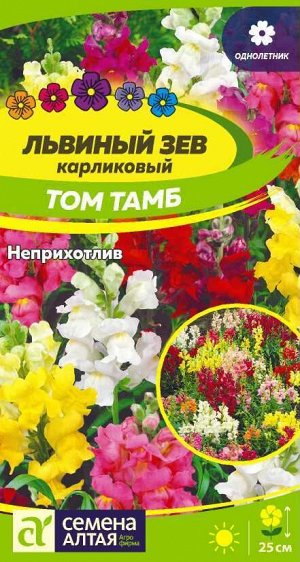 Львиный зев Том Тамб Карликовый/Сем Алт/цп 0,1