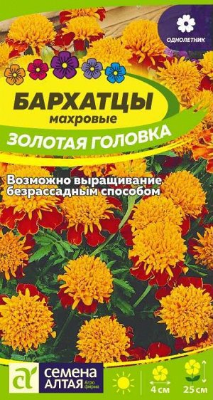 Бархатцы Золотая Головка махровые/Сем Алт/цп 0,3 гр.