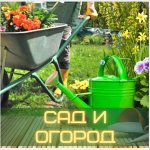 Сад и огород. Семена, грунты, садовая мебель