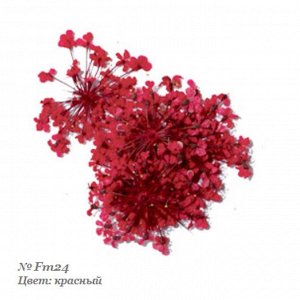 Severina, Сухоцвет для дизайна ногтей Fm24, красный