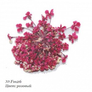 Severina, Сухоцвет для дизайна ногтей Fm26, розовый
