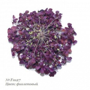 Severina, Сухоцвет для дизайна ногтей Fm27, фиолетовый