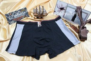 Трусы мужские боксеры p-p 52-60 Арт. 8503 Домино (гигант) (к.6777)
