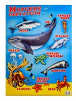 Плакат-постер А2 &quot;Морские животные&quot; (без лака)
