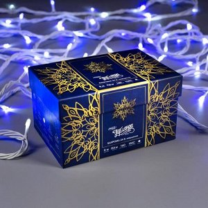 Гирлянда «Нить» 10 м, IP44, УМС, белая нить, 100 LED, свечение бело-синее, мигание, 220 В