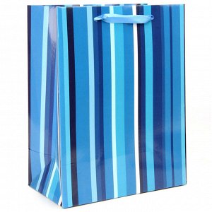 Пакет подарочный ламинированный синий 2диз 178X229X98мм арт.63895