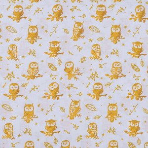 Ткань на отрез перкаль 150 см 13273-1 Little owls Компаньон