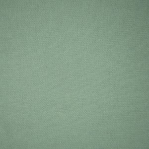 Ткань футер 3-х нитка диагональный цвет светло-зеленый