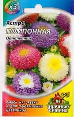 Астра Помпонная Смесь (Код: 82692)
