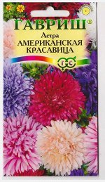 Астра Американская красавица смесь (Код: 4416)