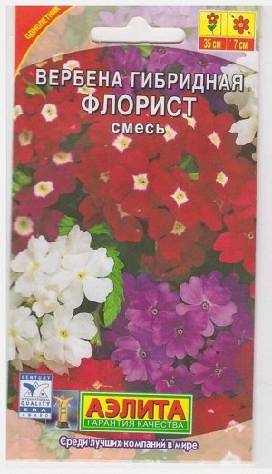 Вербена Флорист гибридная (Код: 71407)