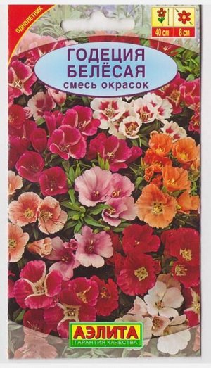 Годеция Белесая (Код: 6892)